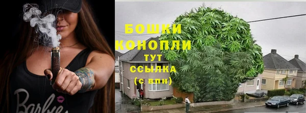 крисы Аркадак